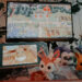 Pokemon Pokopia